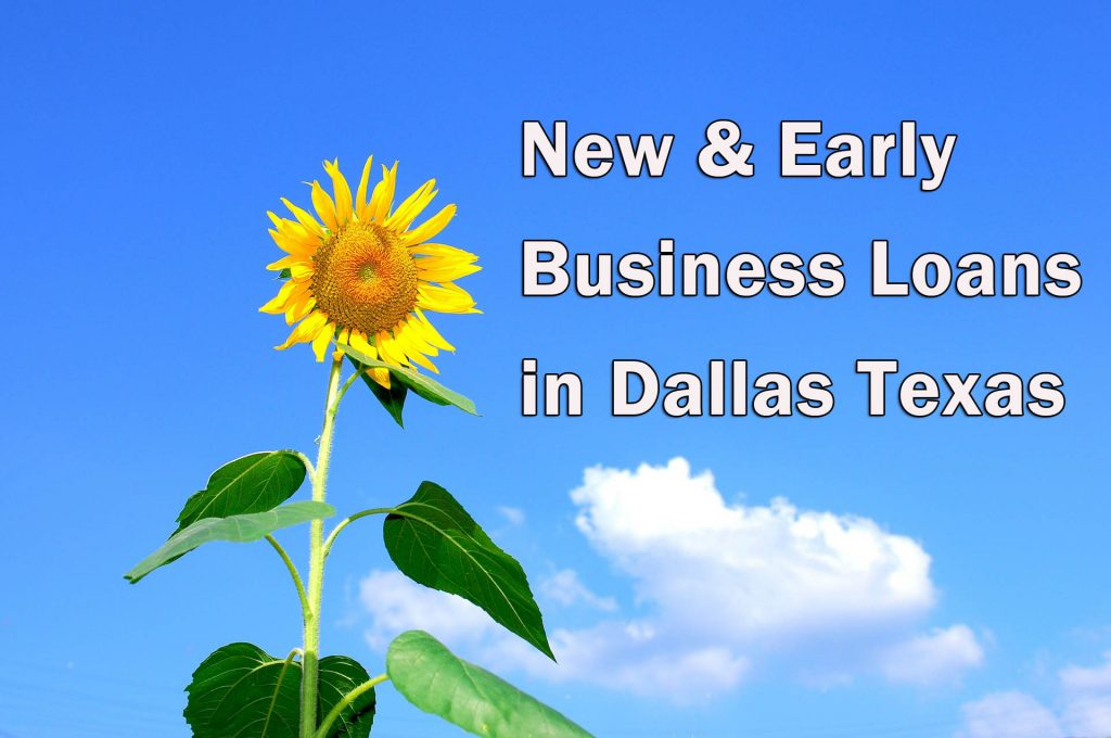 Early business loans in Dallas - Sunflower