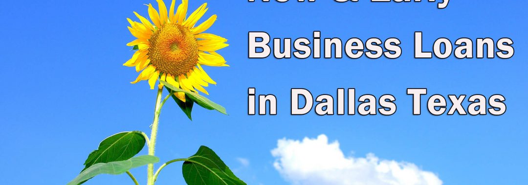 Early business loans in Dallas_Sunflower